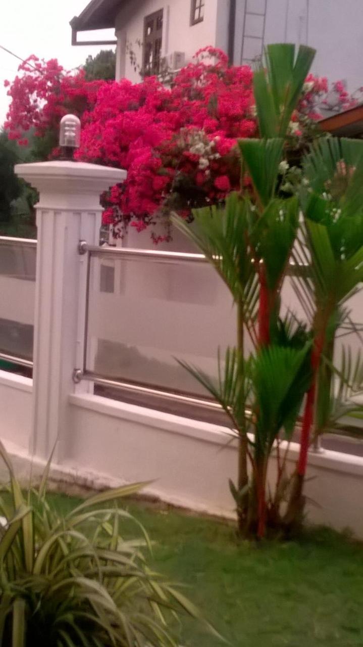 Anna Shanthi Villa Kandy Dış mekan fotoğraf