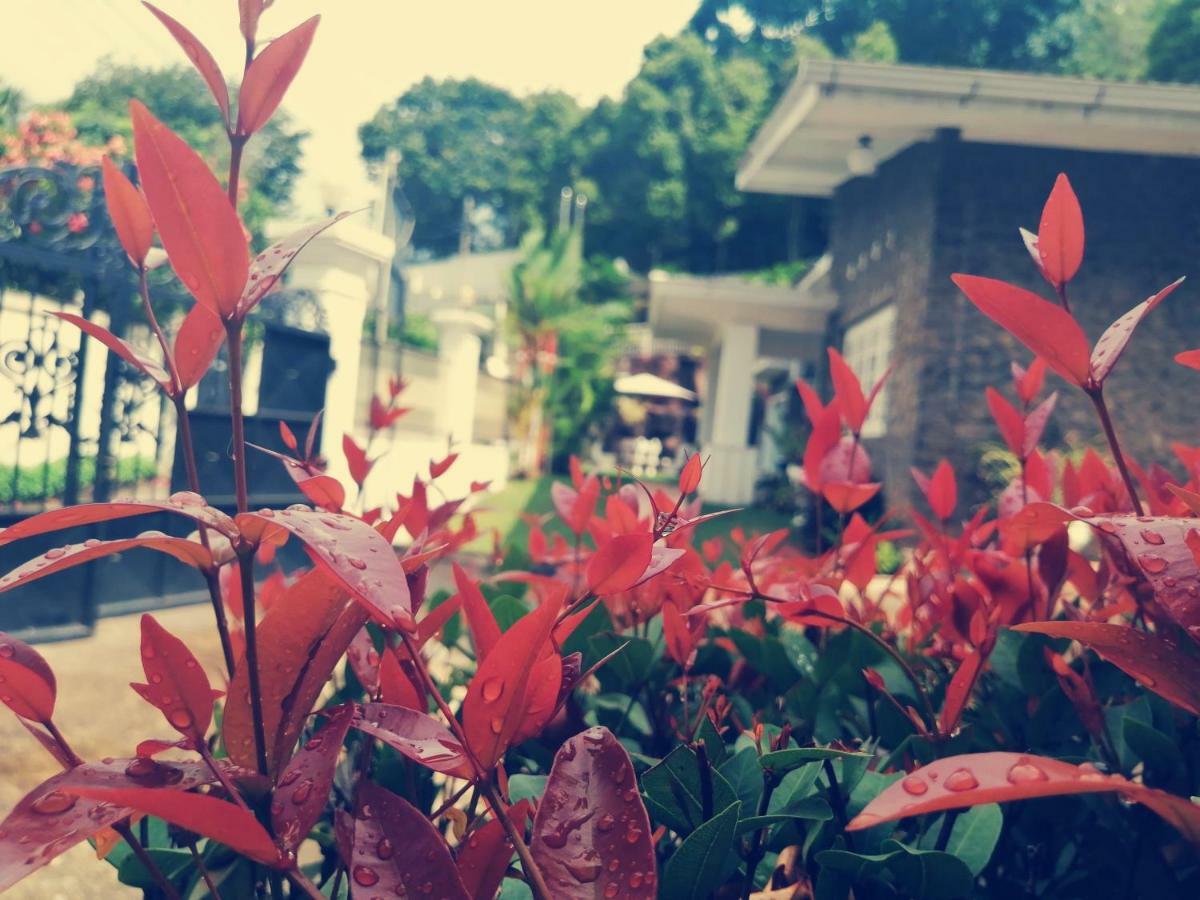 Anna Shanthi Villa Kandy Dış mekan fotoğraf
