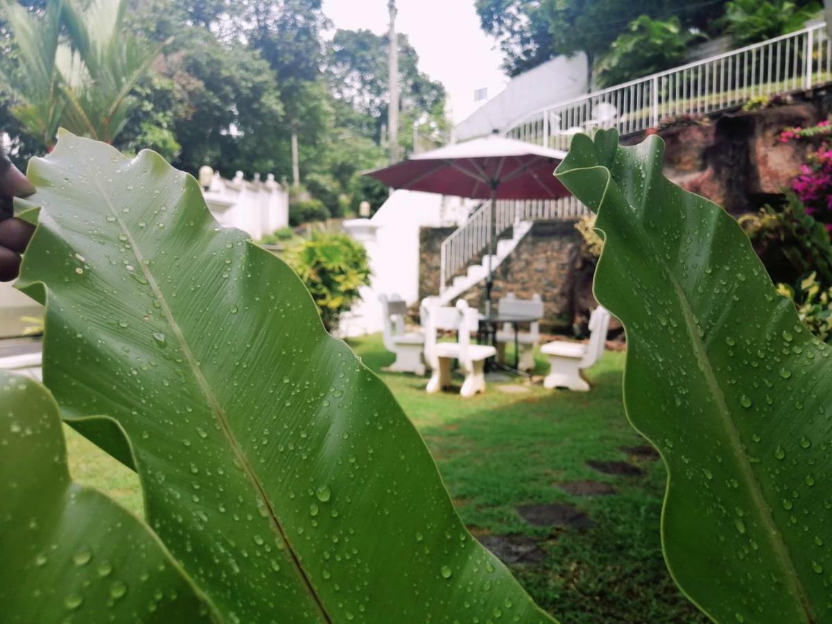 Anna Shanthi Villa Kandy Dış mekan fotoğraf