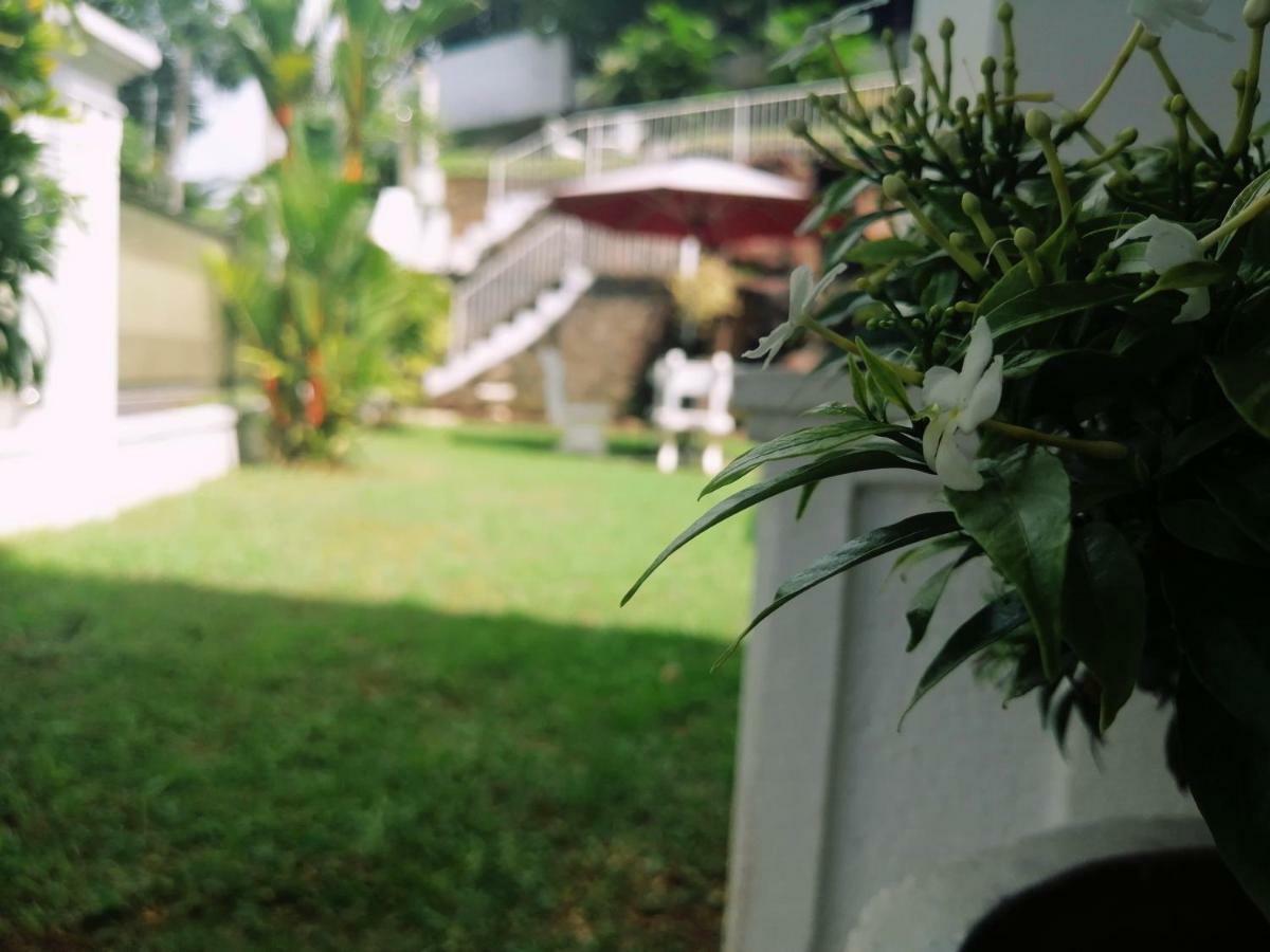 Anna Shanthi Villa Kandy Dış mekan fotoğraf