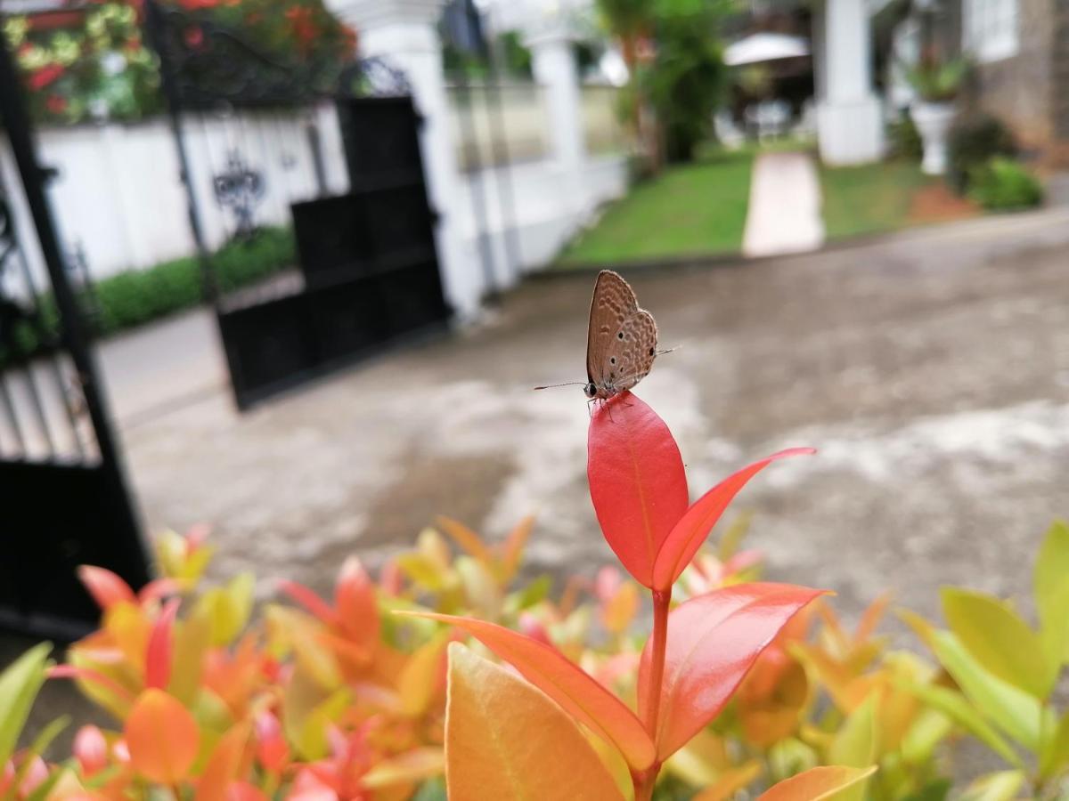 Anna Shanthi Villa Kandy Dış mekan fotoğraf