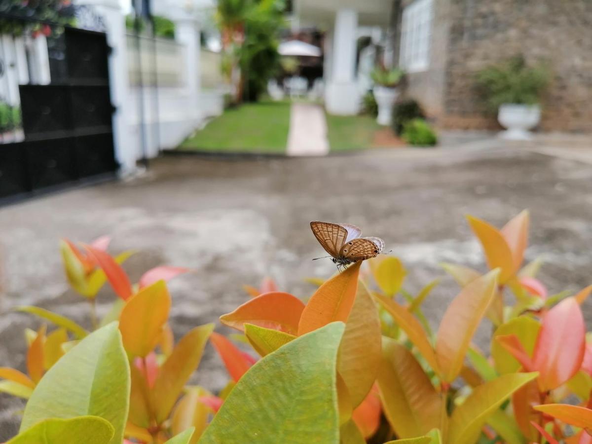 Anna Shanthi Villa Kandy Dış mekan fotoğraf