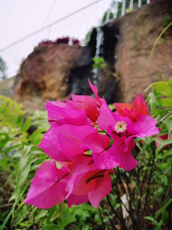 Anna Shanthi Villa Kandy Dış mekan fotoğraf